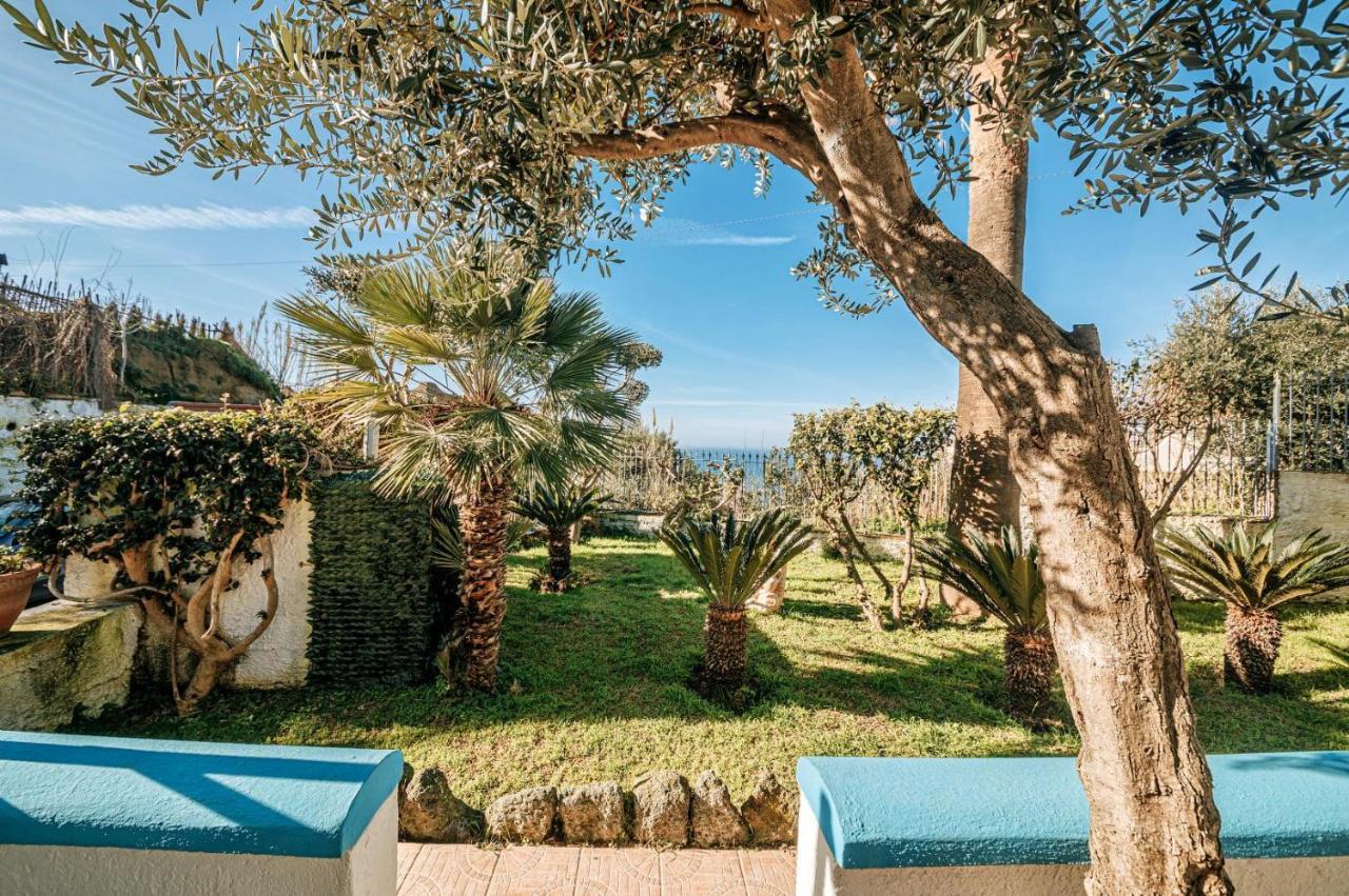 Appartamenti Ischia Casa Don Peppe Forio  Exterior photo
