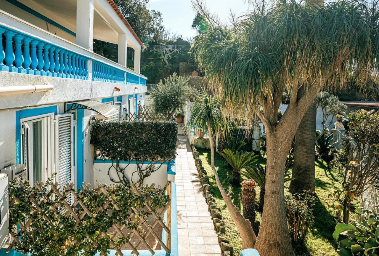 Appartamenti Ischia Casa Don Peppe Forio  Exterior photo